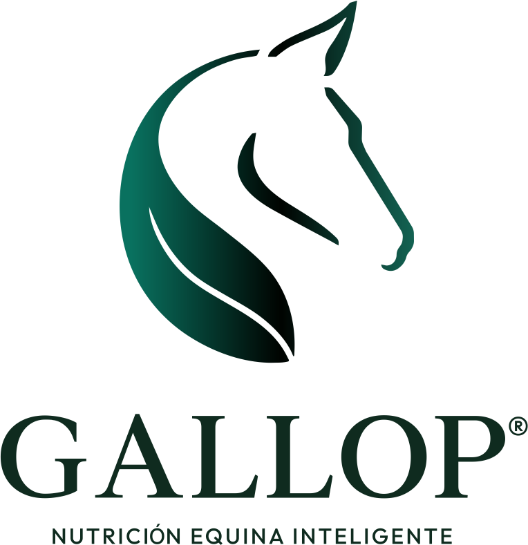 Gallop